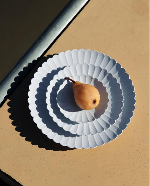 1616/arita Japan | TY Palace Plate 220 (Grey)