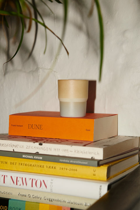 1616/arita Japan | S&B Colour Porcelain Mug (Light Brown)