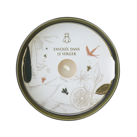 La Rochère | Bee Candle Orchard of Fig Fragrance
