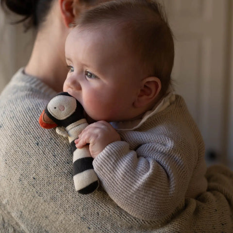 Soft Toy Rattle | Patient Puffin