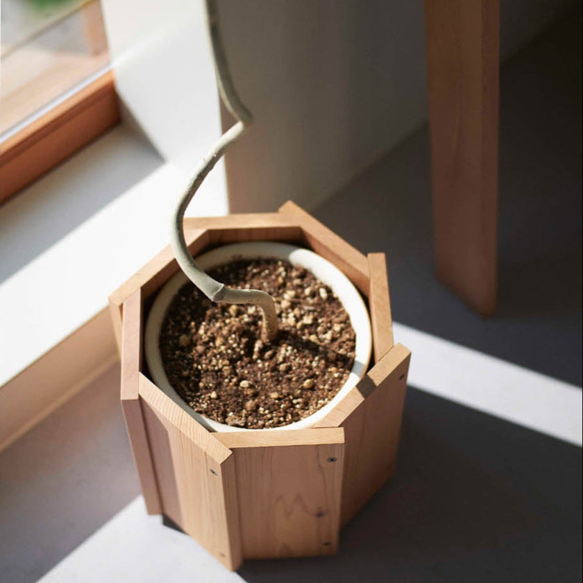 Ishinomaki Laboratory STAVE PLANTER