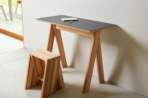 Ishinomaki Laboratory AA DESK